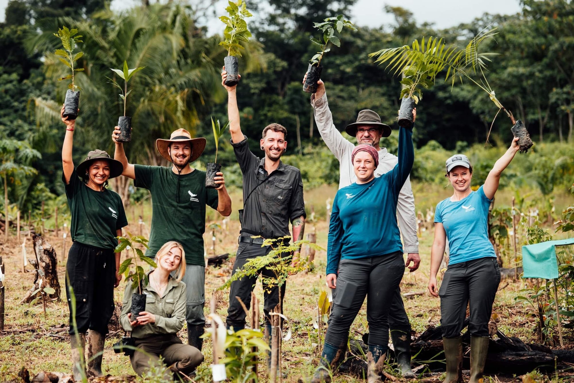 Team of volunteers celebrating a tree-planting initiative in a forest, holding up seedlings with dirt-covered roots.