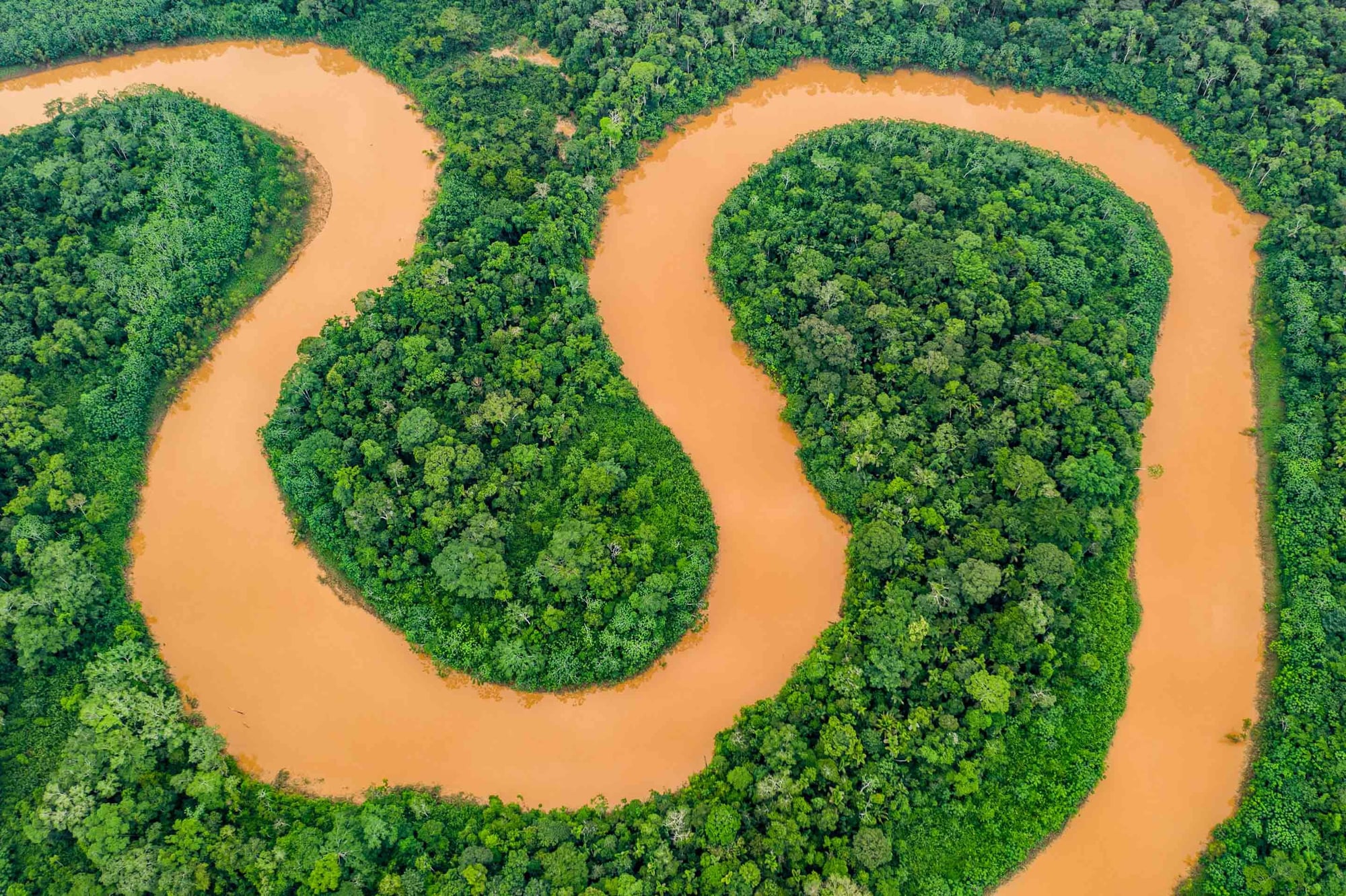 Aerial view of a winding orange-brown river through dense rainforest with forested islands