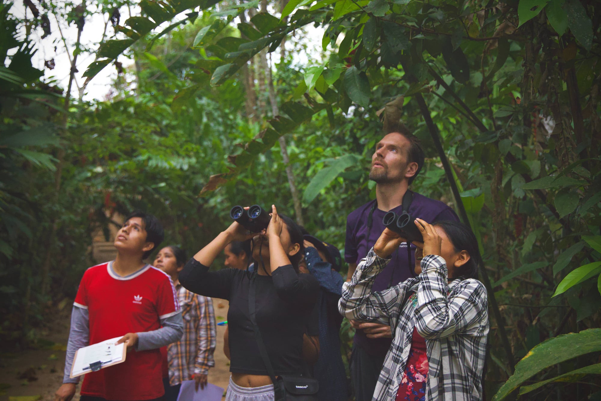 A group of people observe wildlife in a dense forest canopy using binoculars and field notes.