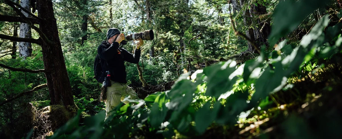 Fotógrafo con teleobjetivo fotografiando en el bosque rodeado de vegetación verde y árboles.