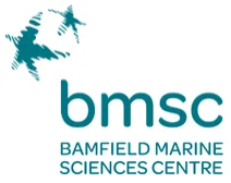BMSC