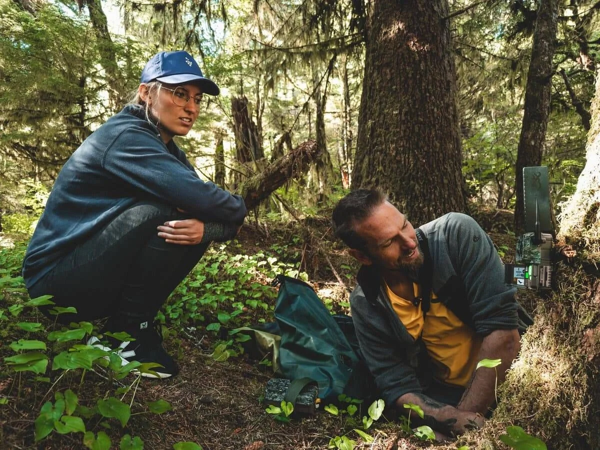 Dos personas examinan plantas en un bosque denso. Una persona se agacha mientras la otra se encuentra cerca, señalando la vegetación.