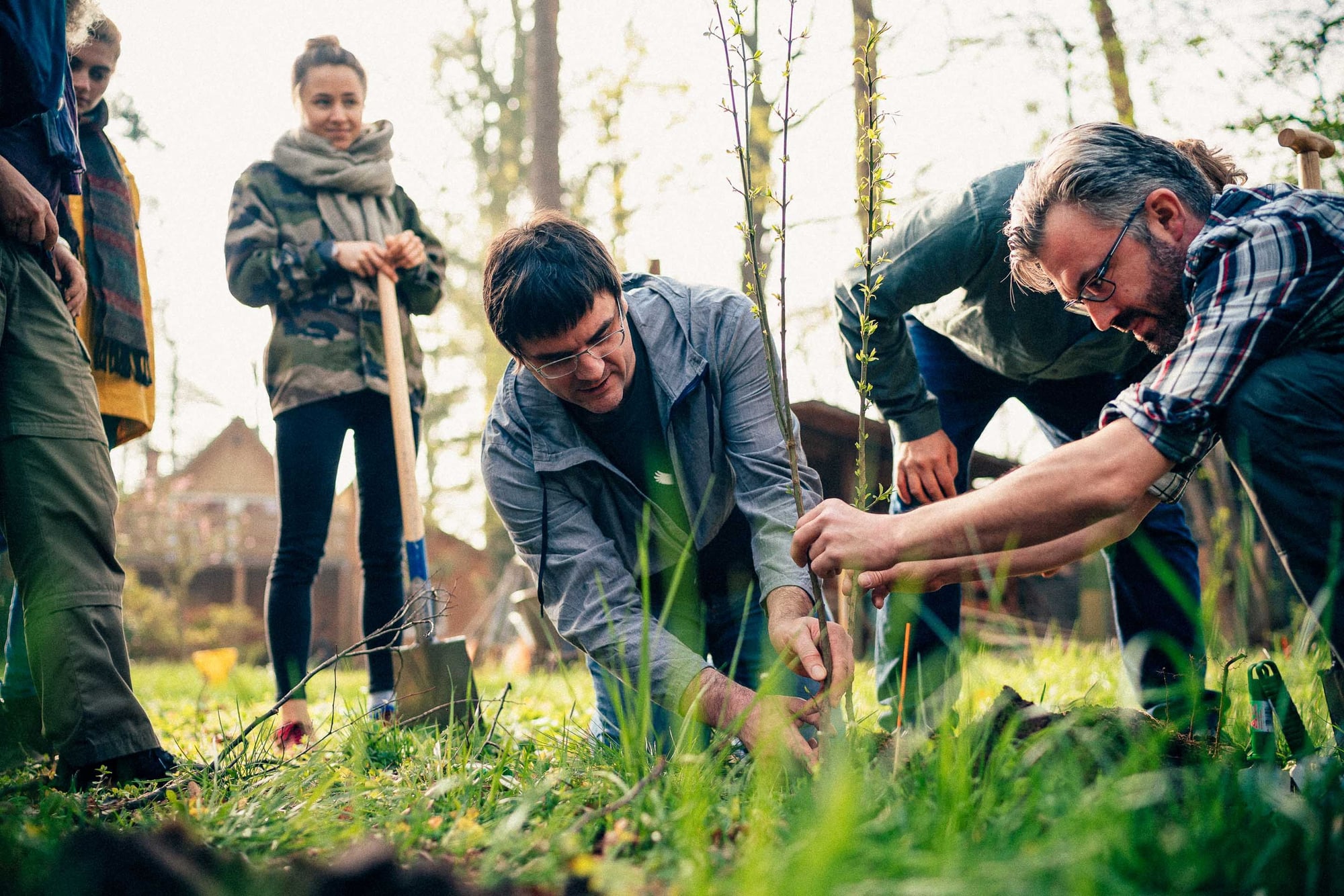 A group of volunteers plant young trees together in a forest during an outdoor community planting project.