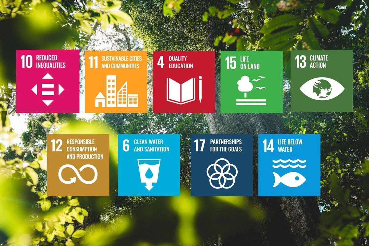 Nine UN Sustainable Development Goals displayed on colourful tiles overlaid on leafy green trees background