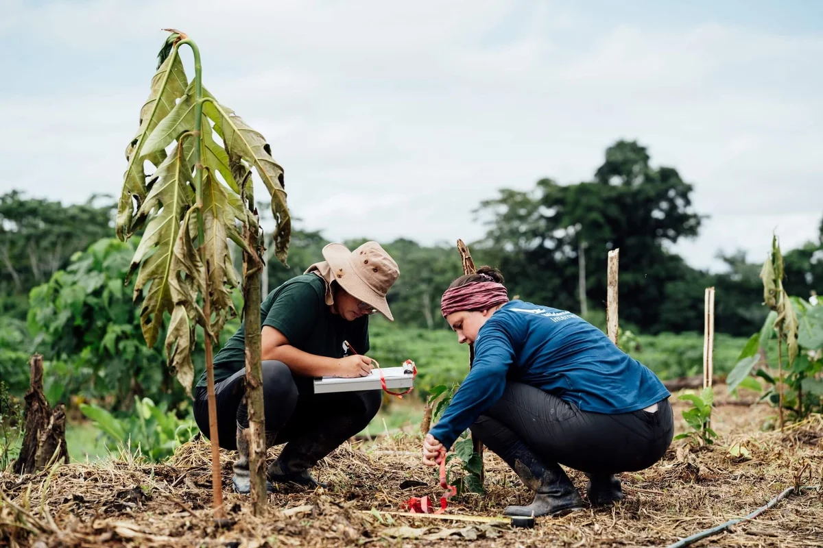 Dos personas inspeccionan y documentan plantas en un huerto. Una usa sombrero y sostiene una tablilla para tomar notas de cultivo.