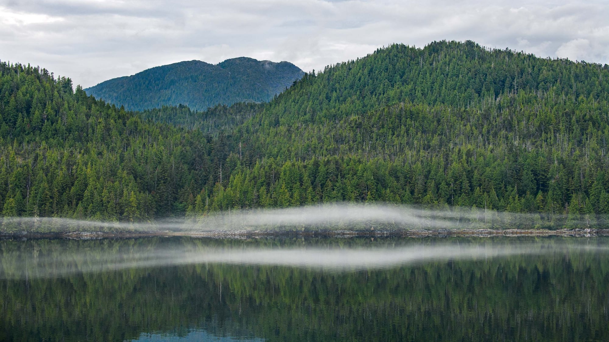 Montañas cubiertas de bosque se reflejan en un lago tranquilo con niebla sobre el agua y cielo nublado.