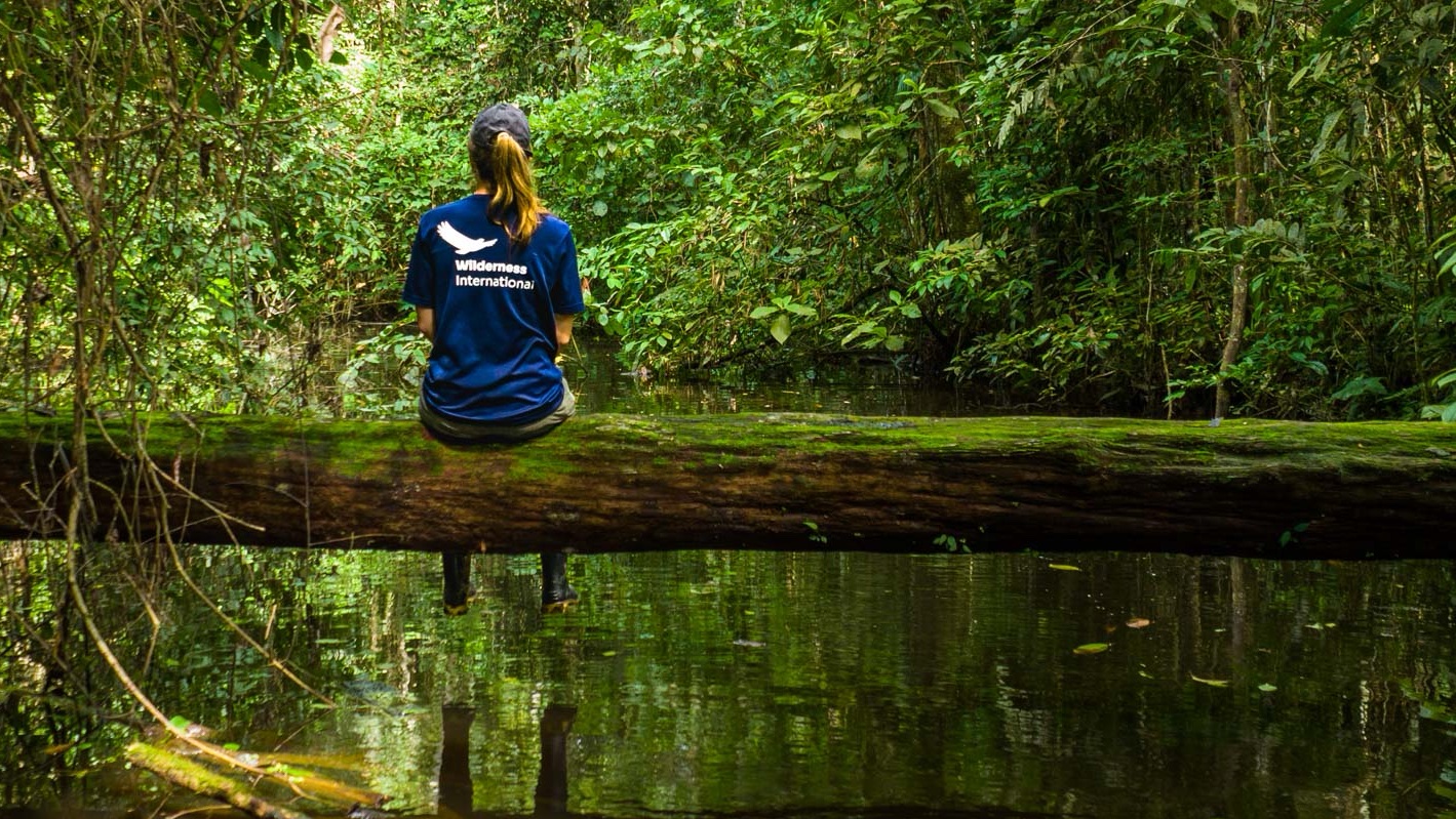 Person wearing Wilderness International shirt sitting on fallen log above water in lush jungle forest.