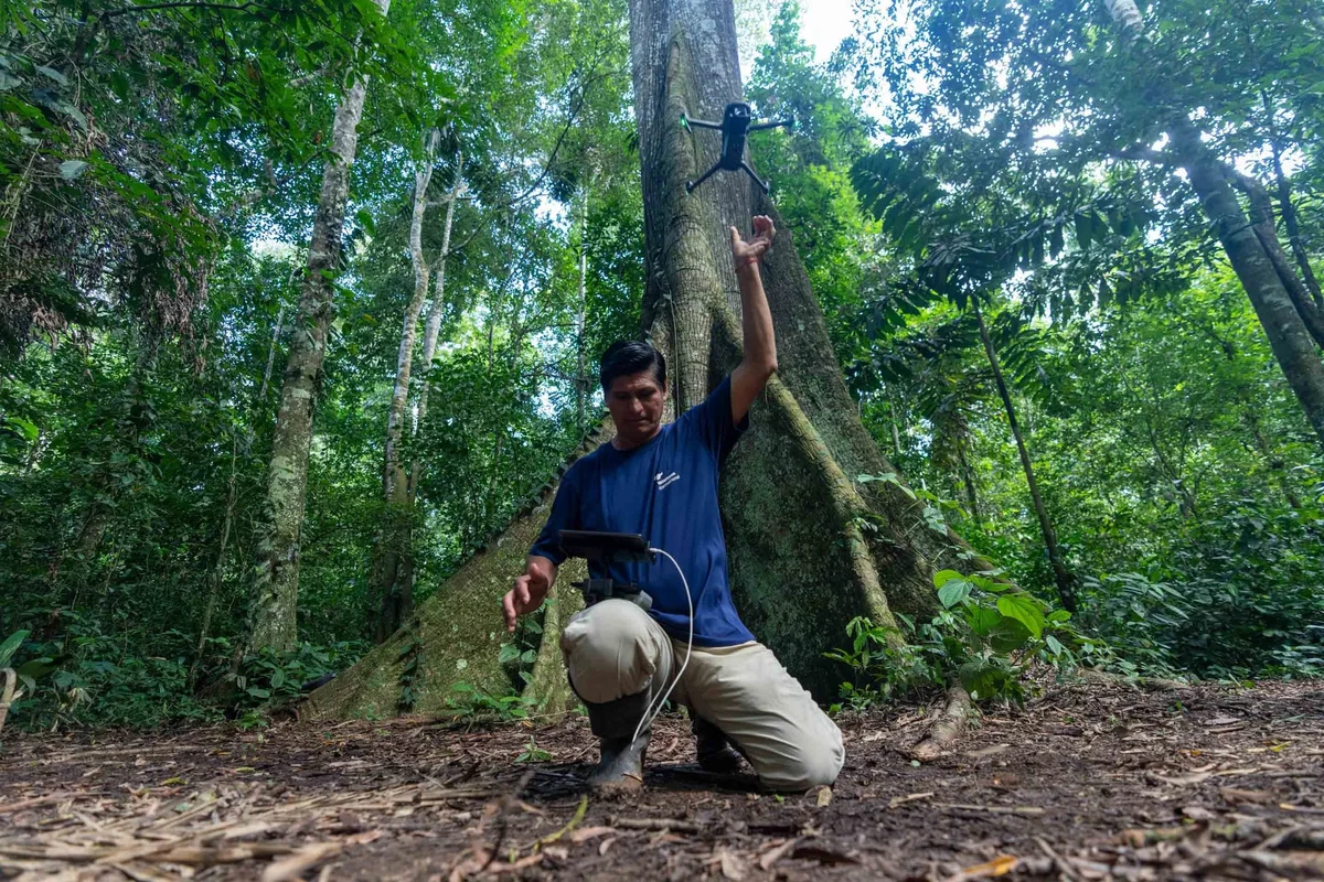 Hombre sostiene una escultura de ave negra frente a gigantesco árbol de la selva tropical con densa vegetación.