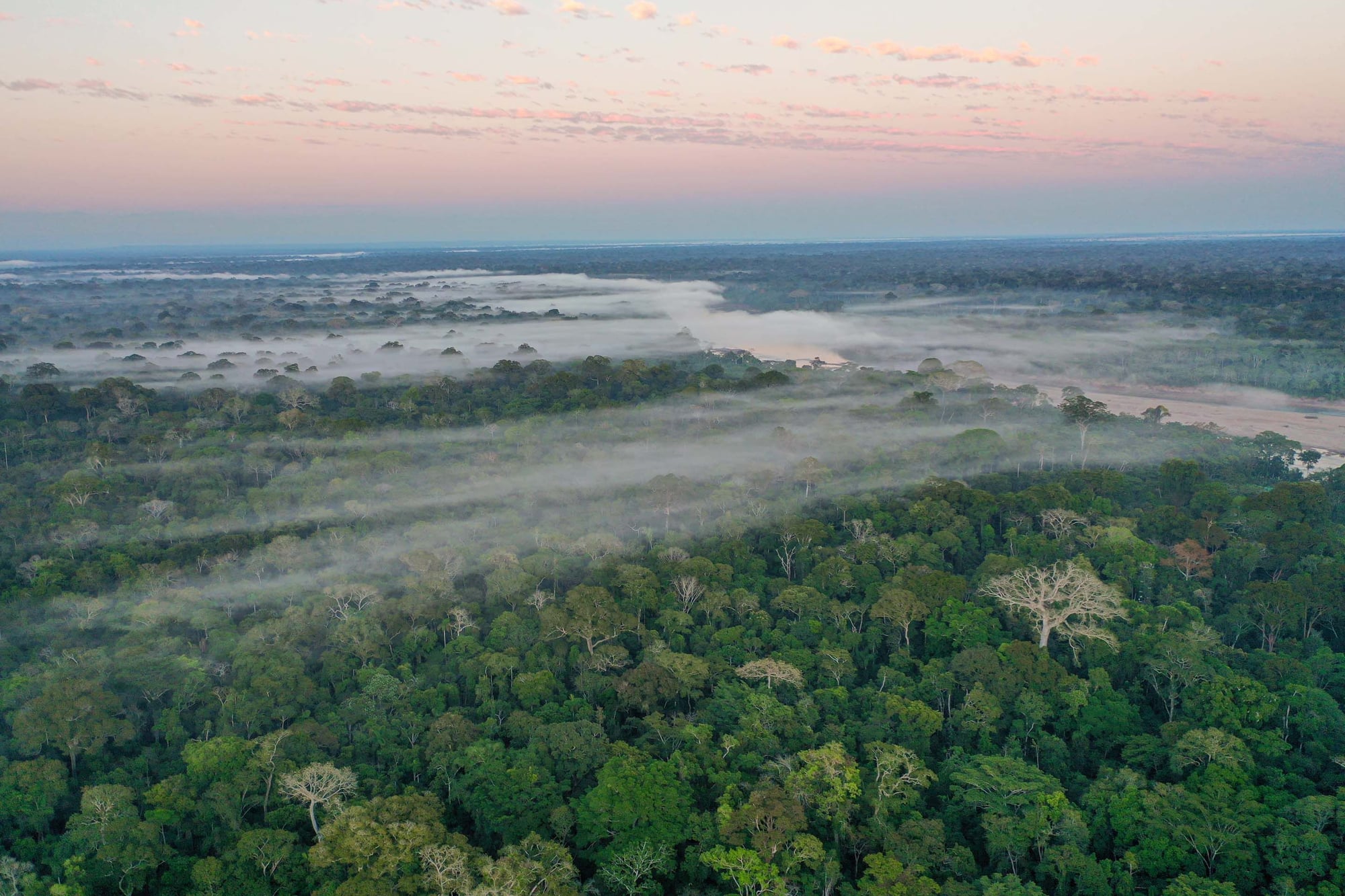 Vista aérea de selva tropical envuelta en niebla al amanecer con cuerpos de agua y dosel denso de árboles.