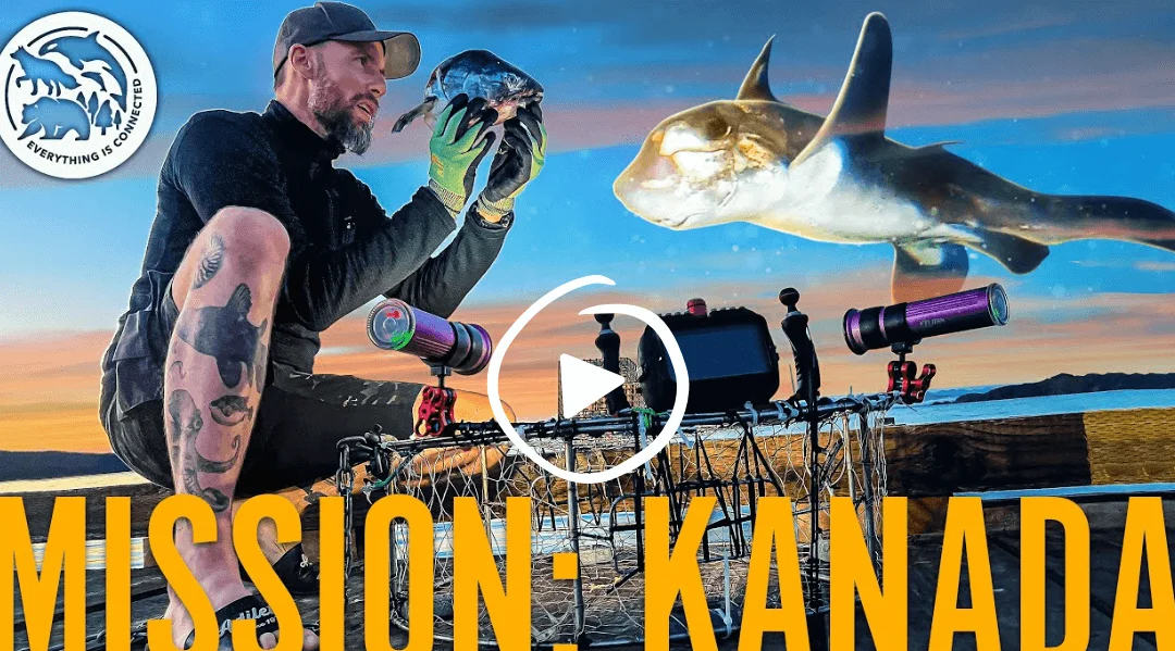 Hombre tatuado sujetando un pez con tiburones y ciclistas con telescopios de fondo en la playa.