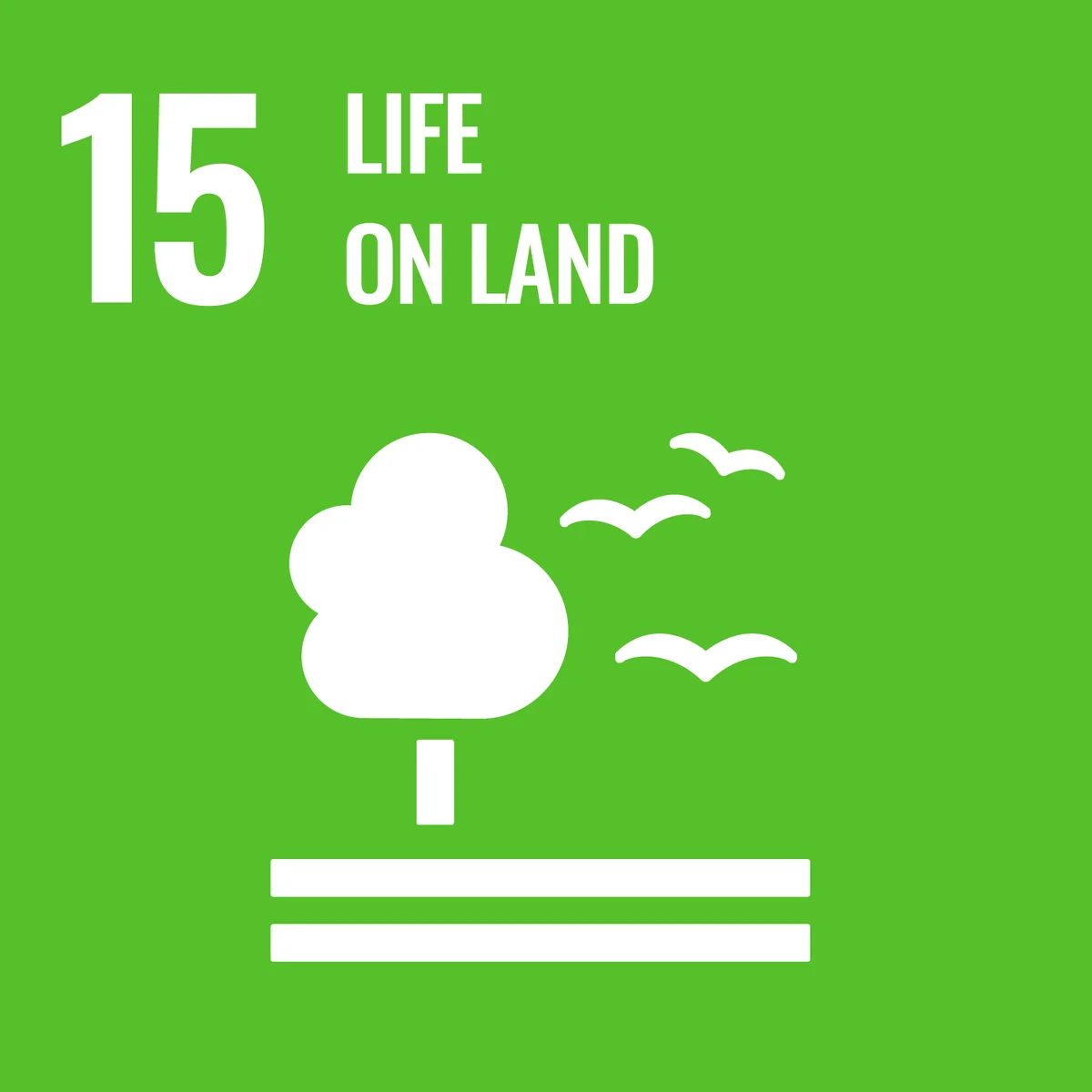 Icono ODS 15 Vida Terrestre: Árbol con pájaros volando sobre fondo verde