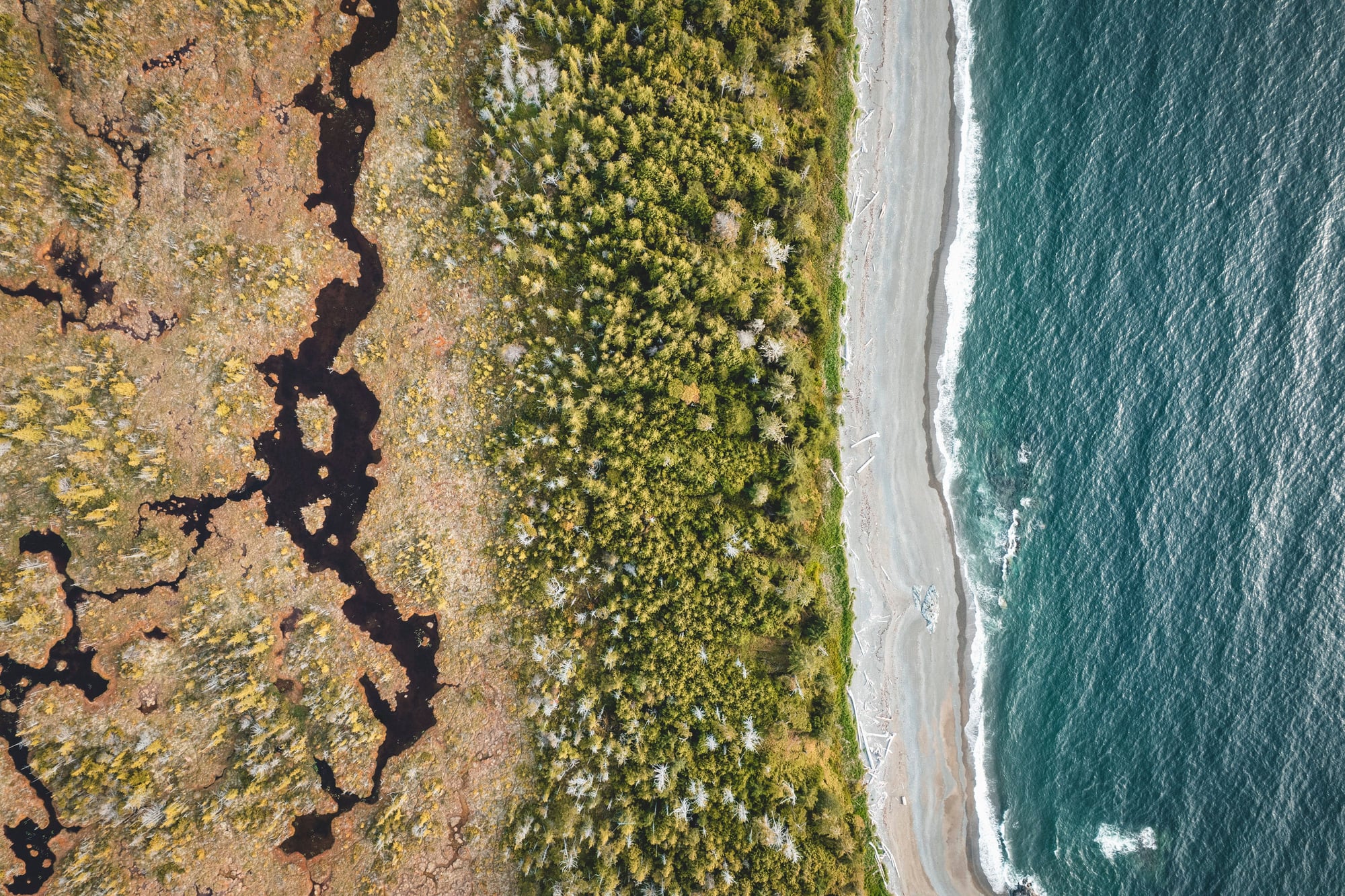Aerial view of coastal landscape with wetland, coniferous forest, and turquoise ocean with sandy beach.