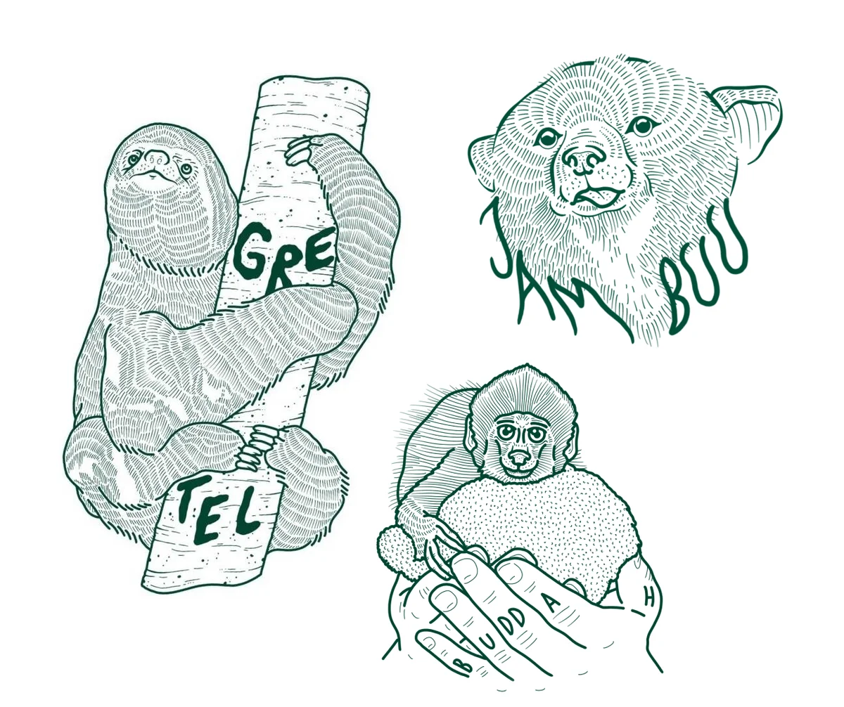 Line drawing illustration: sloth hugging tree with 