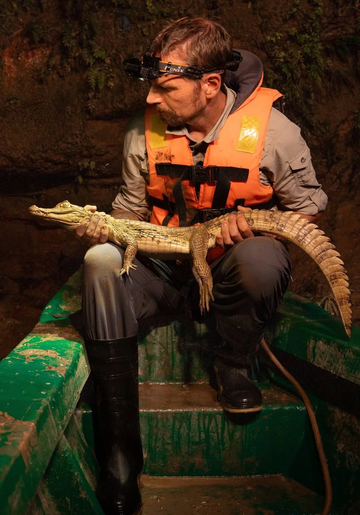 Man wearing headlamp and orange life vest holds a crocodile in an underground water setting.