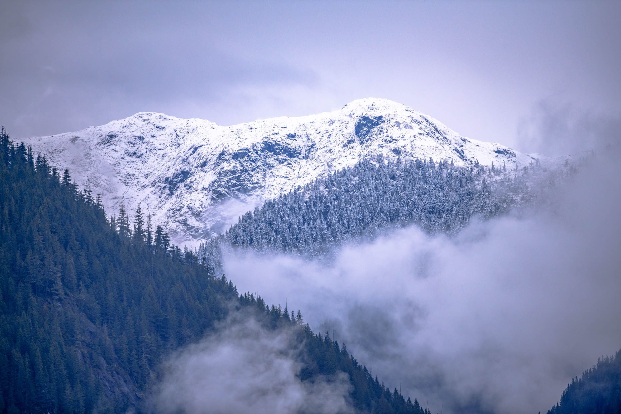 Cimas montañosas nevadas rodeadas de bosques de coníferas con niebla y cielo azul claro.