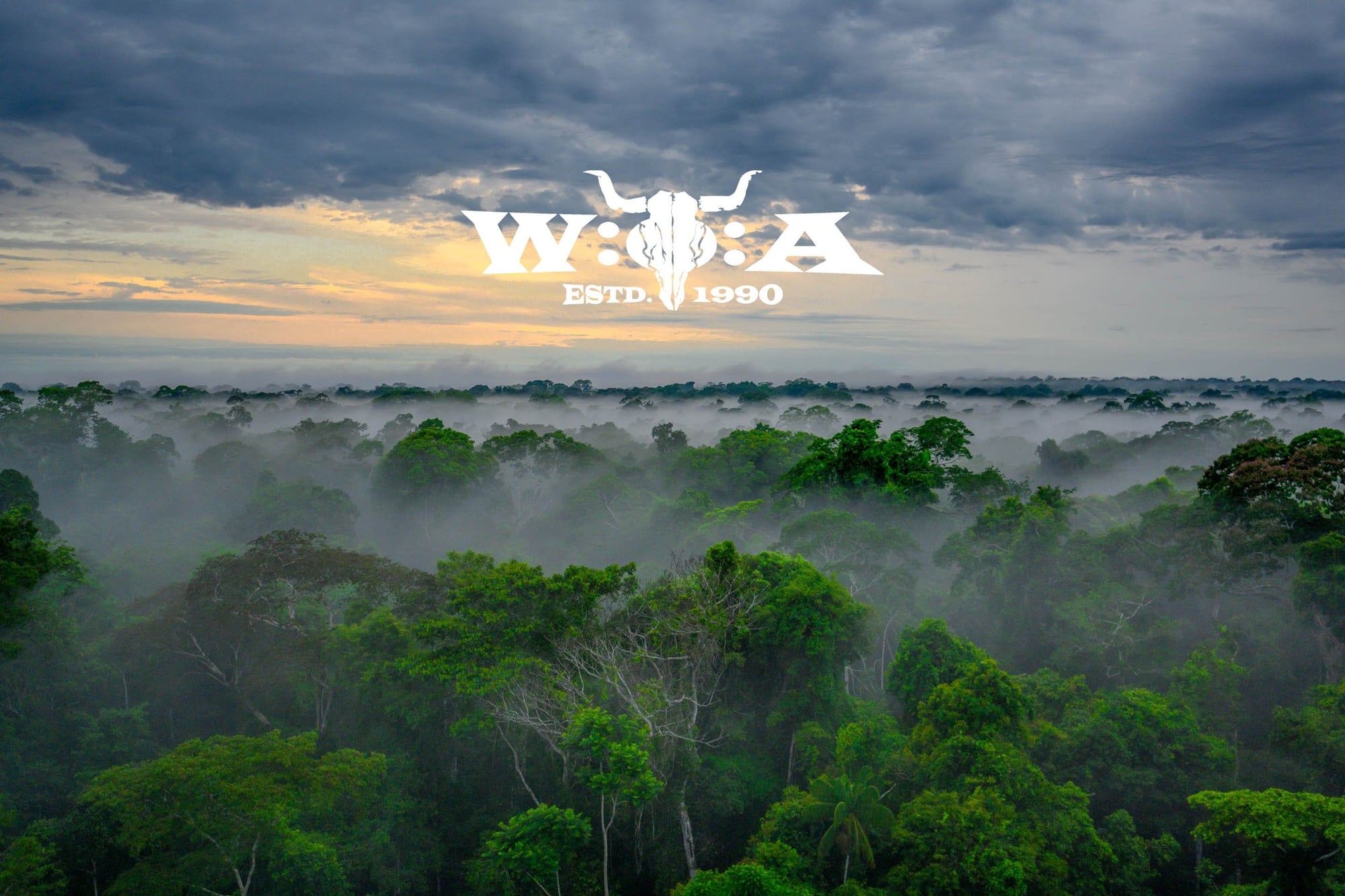 Logo WIWA con calavera de toro sobre dosel de selva tropical brumosa al amanecer con cielo nublado.