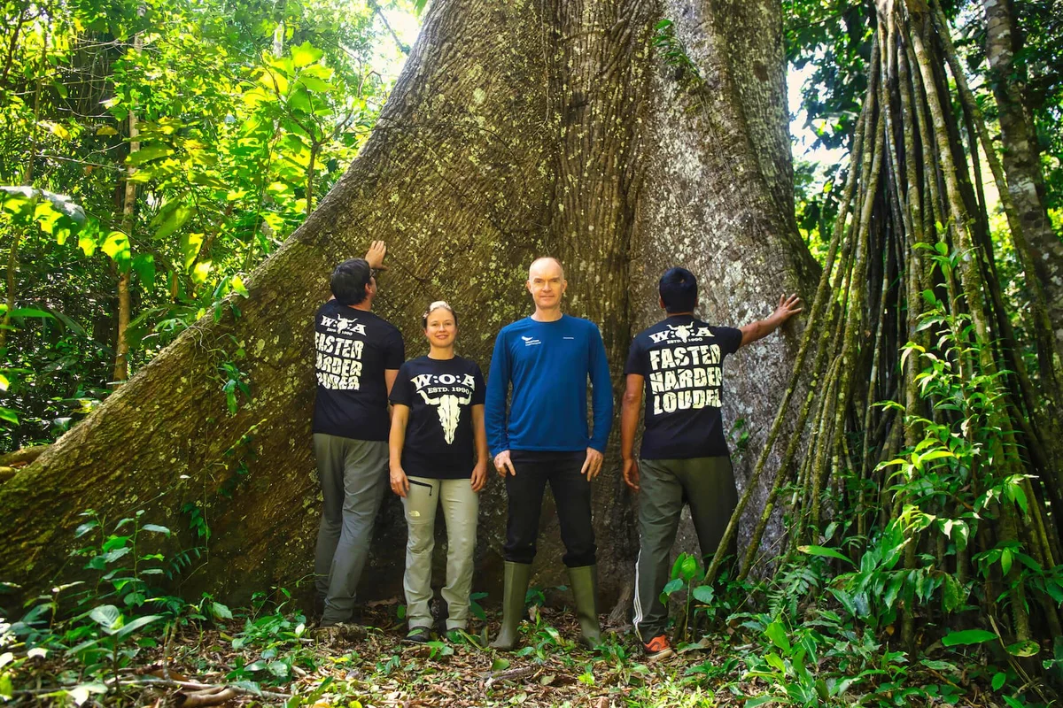 Cuatro personas posan para una foto grupal frente a un árbol gigante en la selva tropical exuberante.
