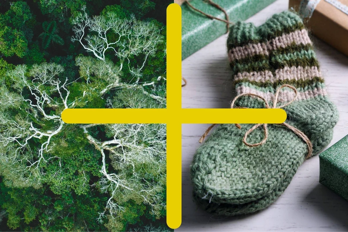 Aerial view of trees next to knitted green mittens and accessories on wooden surface.