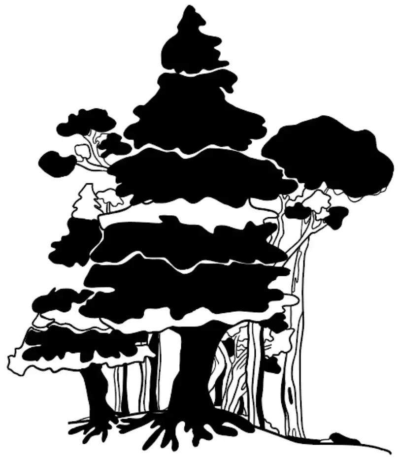 Black and white illustration of a stylized tree with multiple horizontal branches and prominent root system.