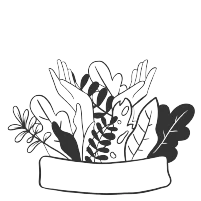 Illustration of assorted leaves and plants arranged above an empty banner.