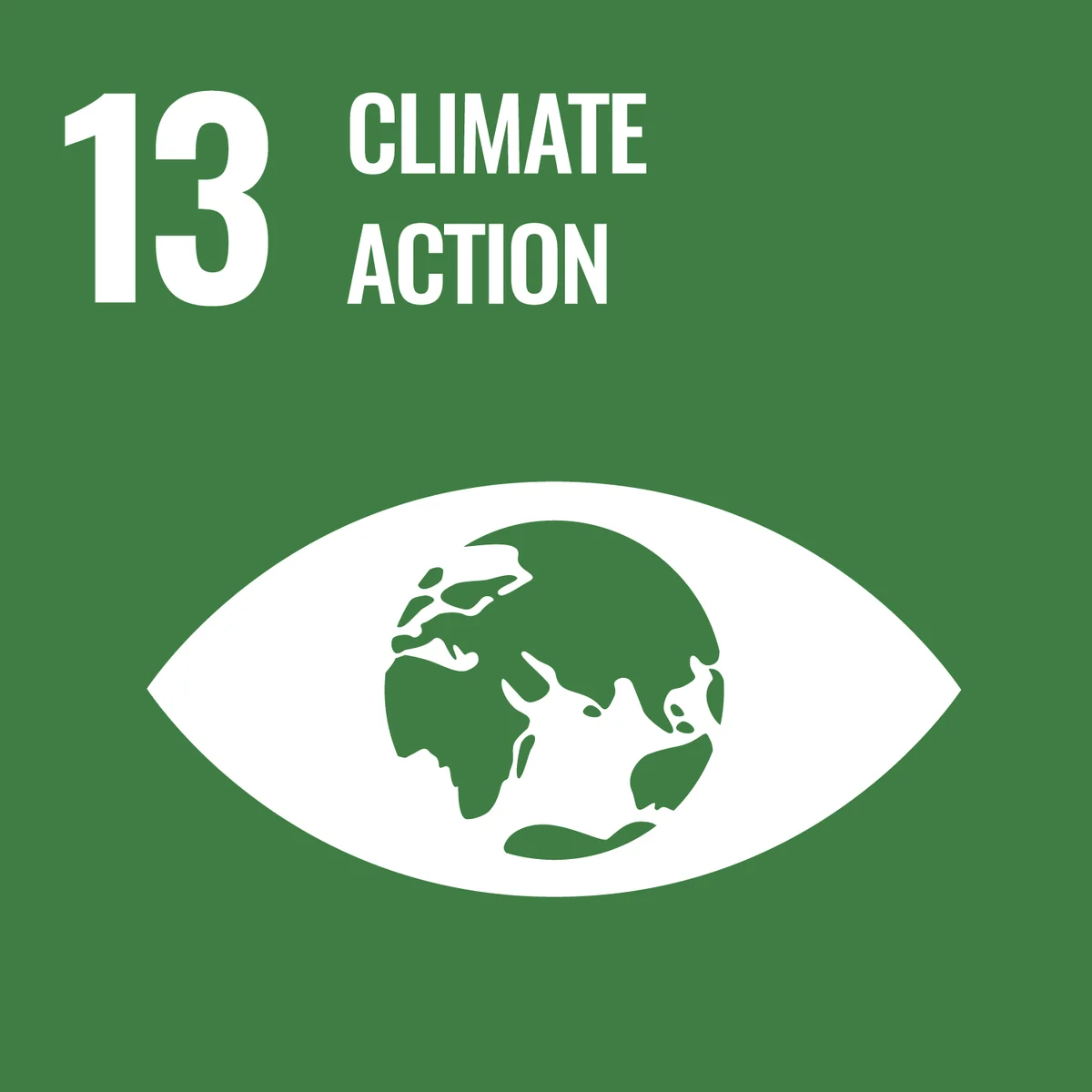 SDG 13: Green poster with white eye icon containing Earth and white text 