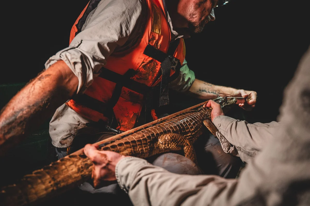 Fisherman in red life jacket holds a large brown fish in his hands during a nighttime fishing operation.