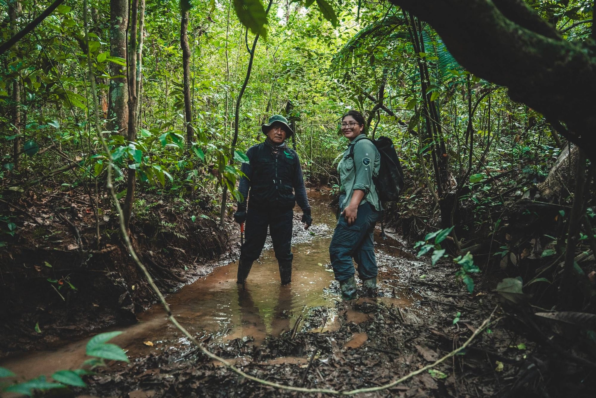 Dos excursionistas vadean un arroyo en la selva tropical rodeados de vegetación verde exuberante.