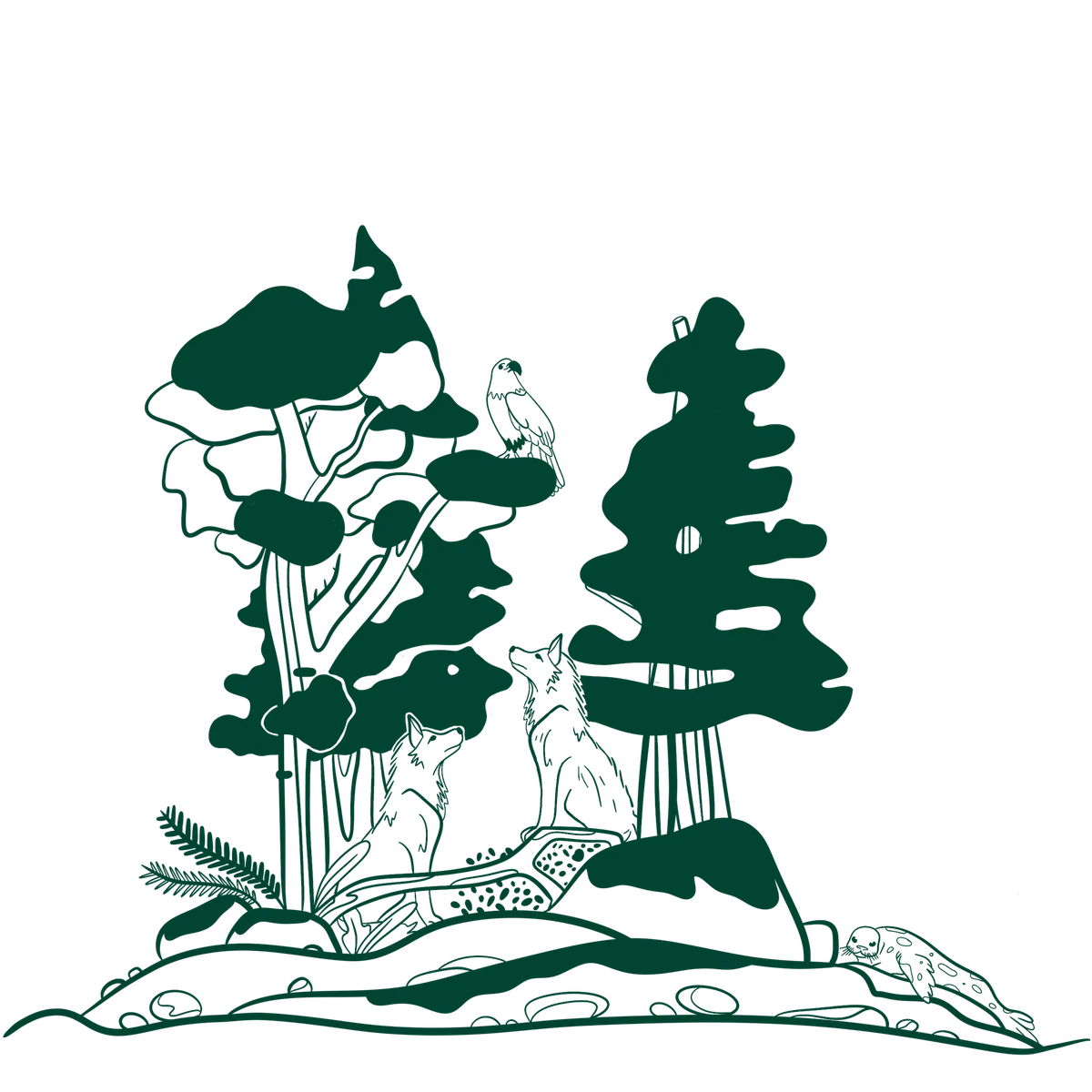 Forest scene with two trees, two foxes, an eagle, and an owl illustrated in dark green and white.