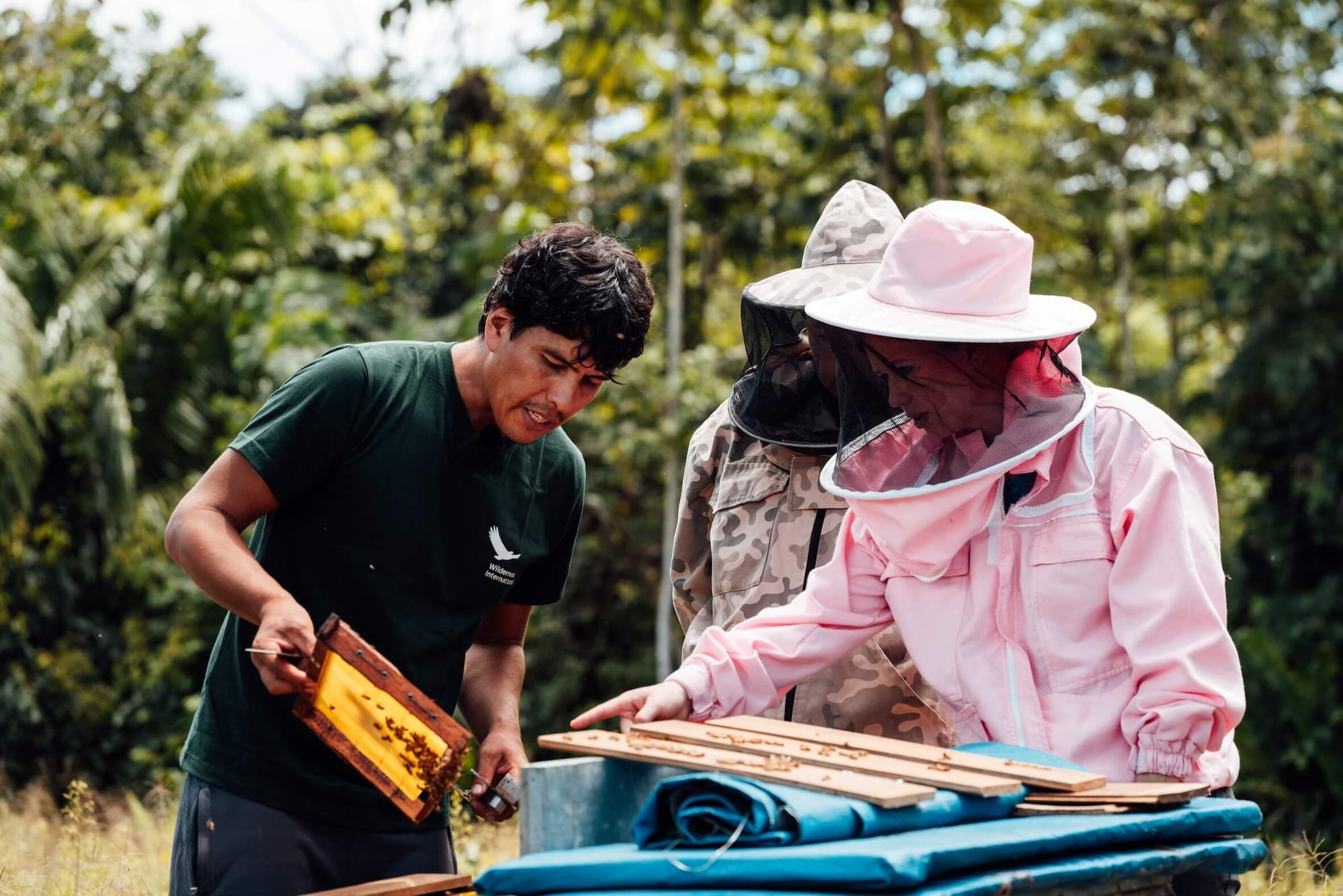 Young man in green shirt shows a beekeeper in pink protective suit a honeycomb frame to an instructor.