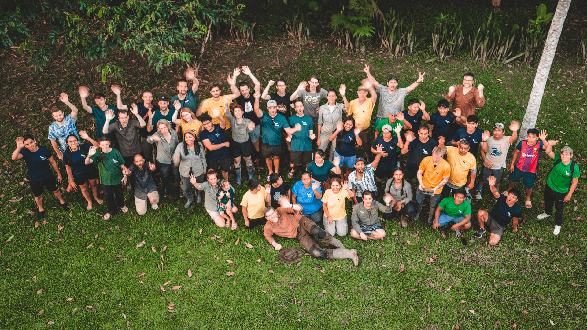Aerial view of a large diverse group of people gathered on green grass, raising their arms and smiling at the camera.