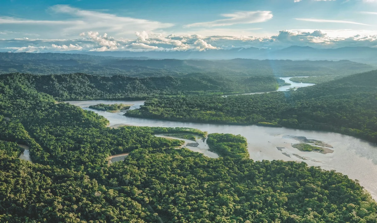 Aerial view of dense rainforest with winding rivers, green hills, and cloudy sky.