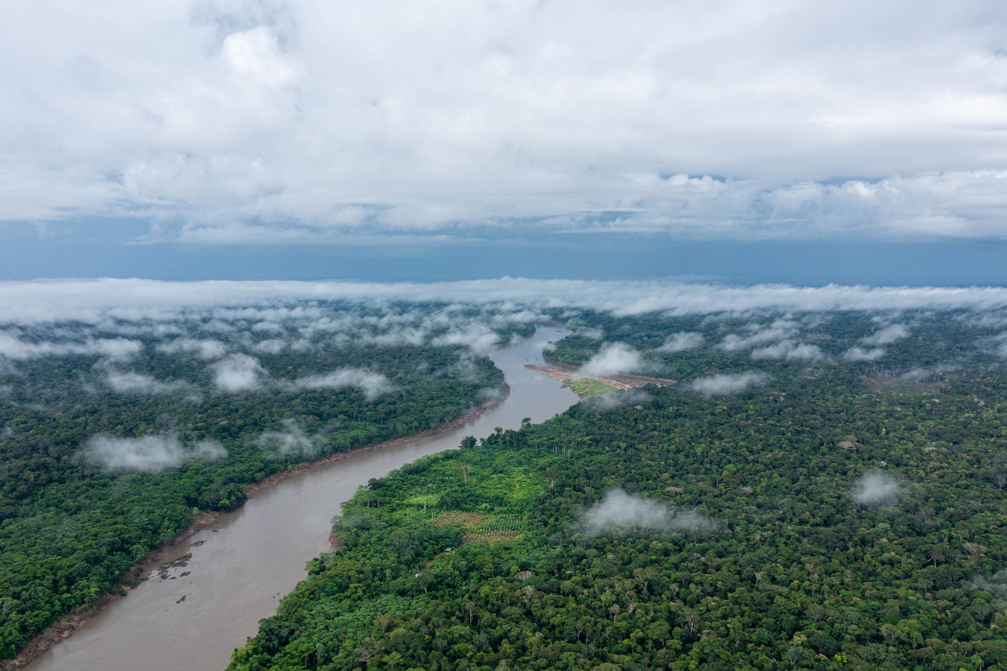 Aerial view of a winding river cutting through dense rainforest canopy with mist and cloudy sky