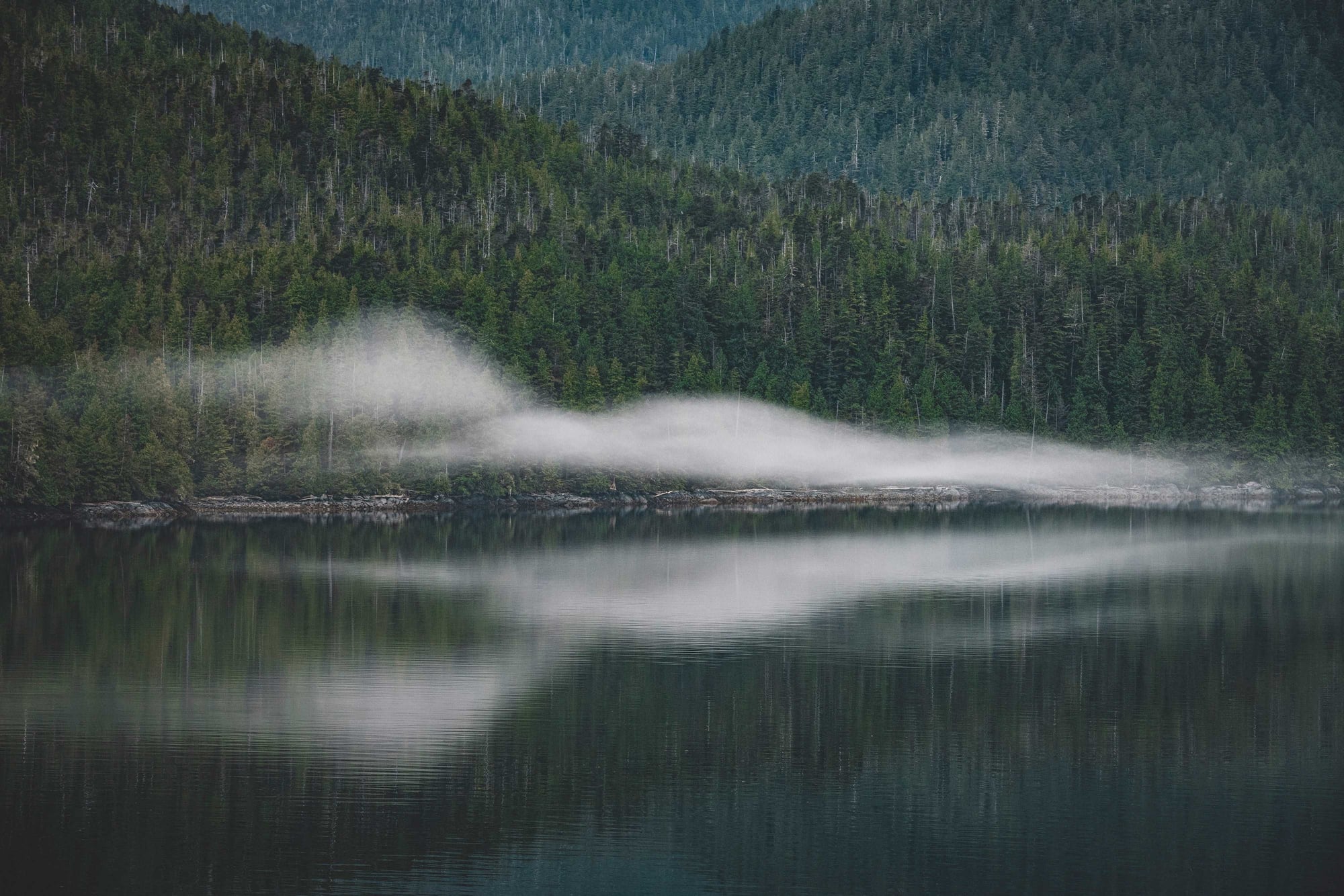 Mist rising from a calm lake surrounded by dense coniferous forests and forested mountains under overcast skies.