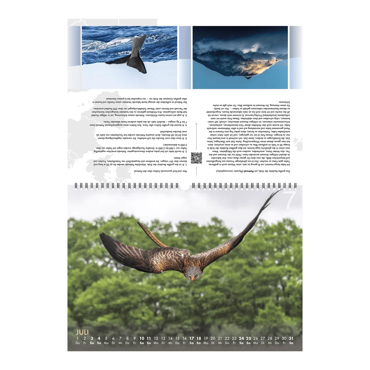 July calendar page featuring whale tail in ocean, bird diving in clouds, and eagle soaring over forest