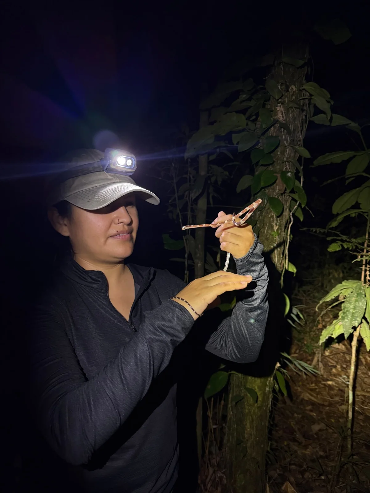 Researcher wearing headlamp at night holds a dragonfly in hand beside a moss-covered tree trunk.