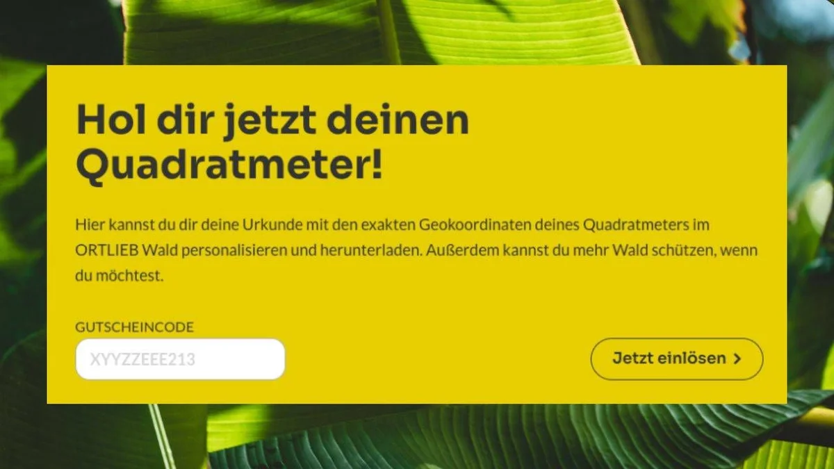 Yellow banner with text 