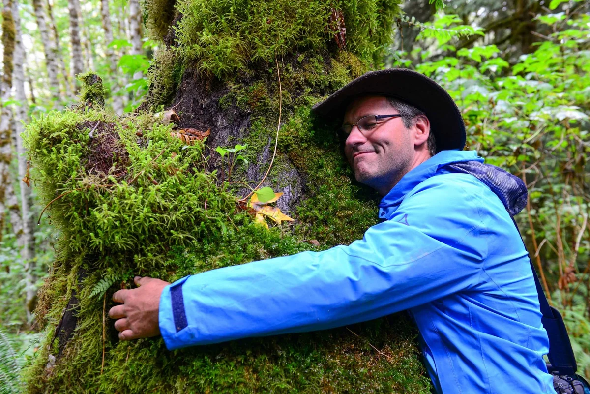 Man in blue jacket touching a moss-covered tree trunk in a lush green forest, smiling at camera.