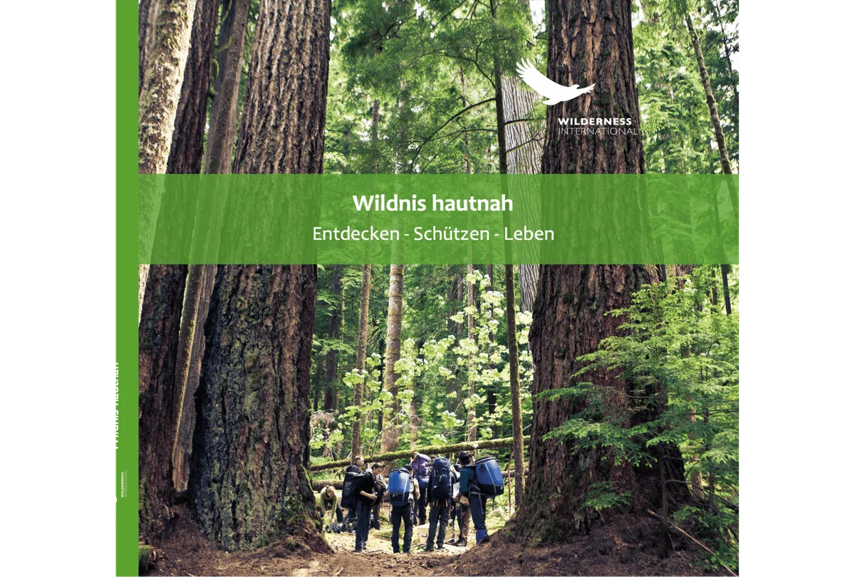 Hikers walking among towering trees in a lush forest with Wilderness International logo visible at top