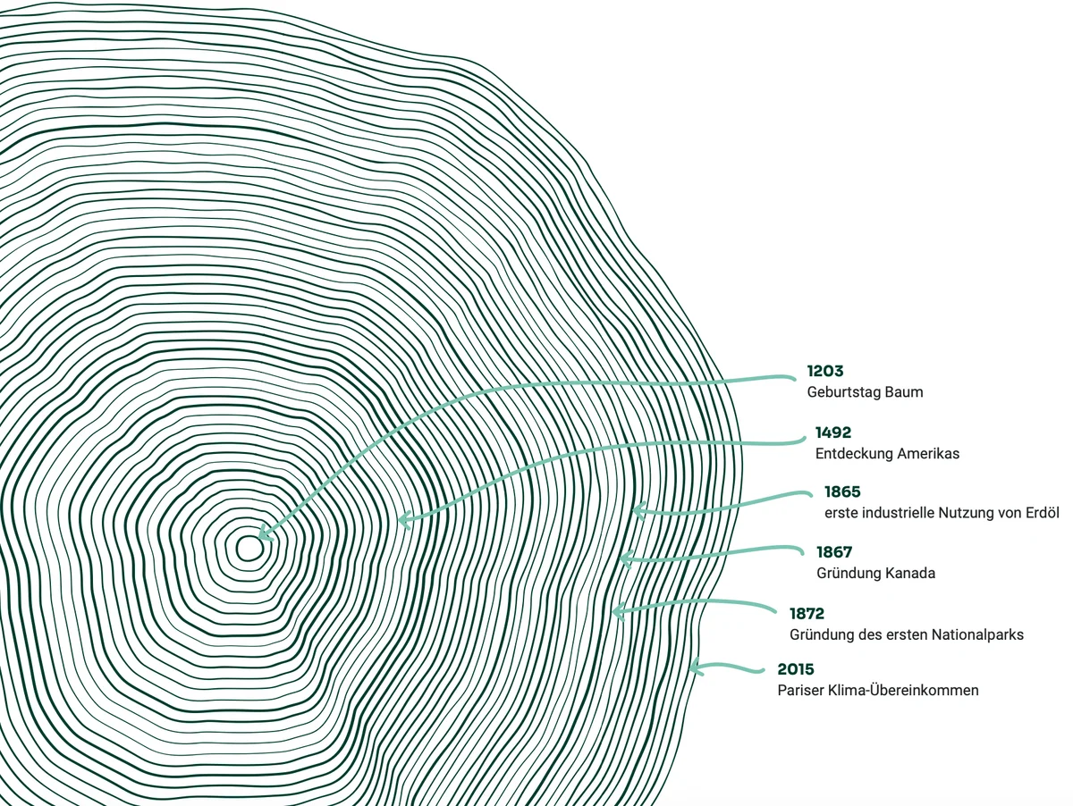 Tree ring cross-section with timeline markers: 1203 (tree's birth), 1492 (Americas discovery), 1865 (oil use), 1867 (Canada founding), 1872 (first national park), 2015 (Paris climate accord).