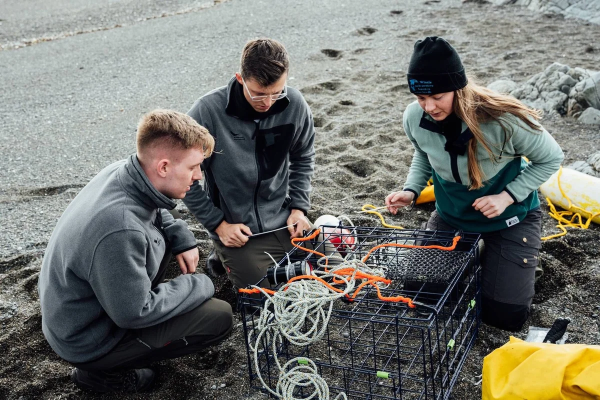 Three young people examine a black lobster trap with orange rope and equipment on a sandy beach.