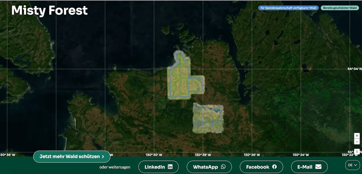 Satellite map of Misty Forest showing green and brown forest areas with yellow marked regions.