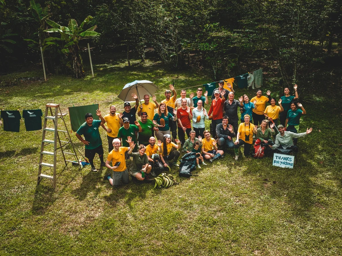 Große Gruppe von Freiwilligen in gelben und grünen Shirts auf einer Wiese im Wald, von oben fotografiert.