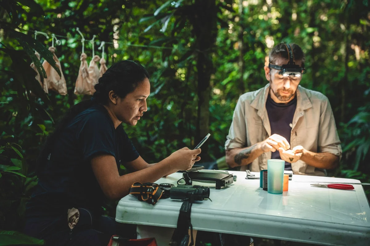 Two researchers examine specimens at an outdoor table surrounded by lush green foliage and equipment