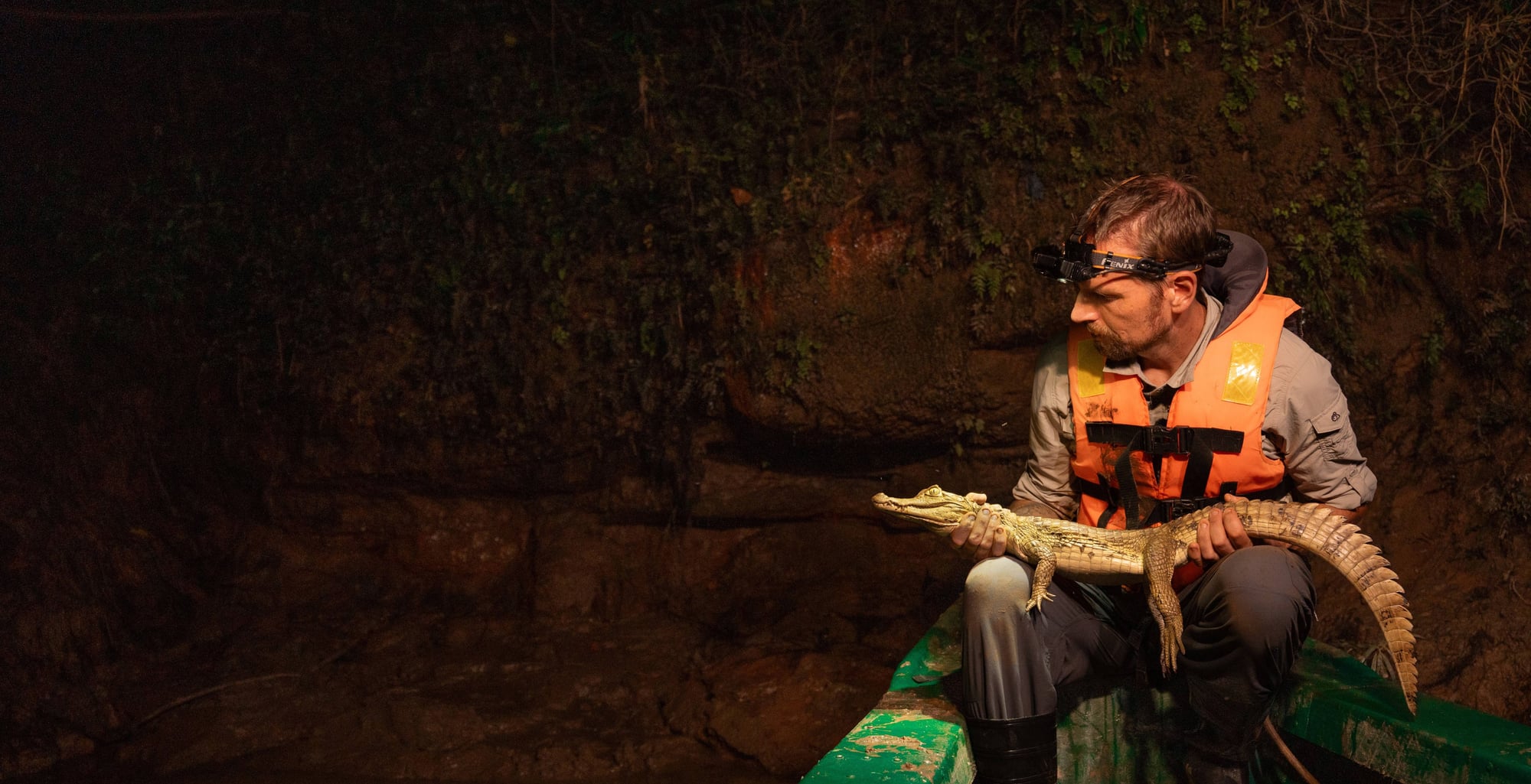Man wearing orange life vest and headlamp holds a crocodile in a dark cave.