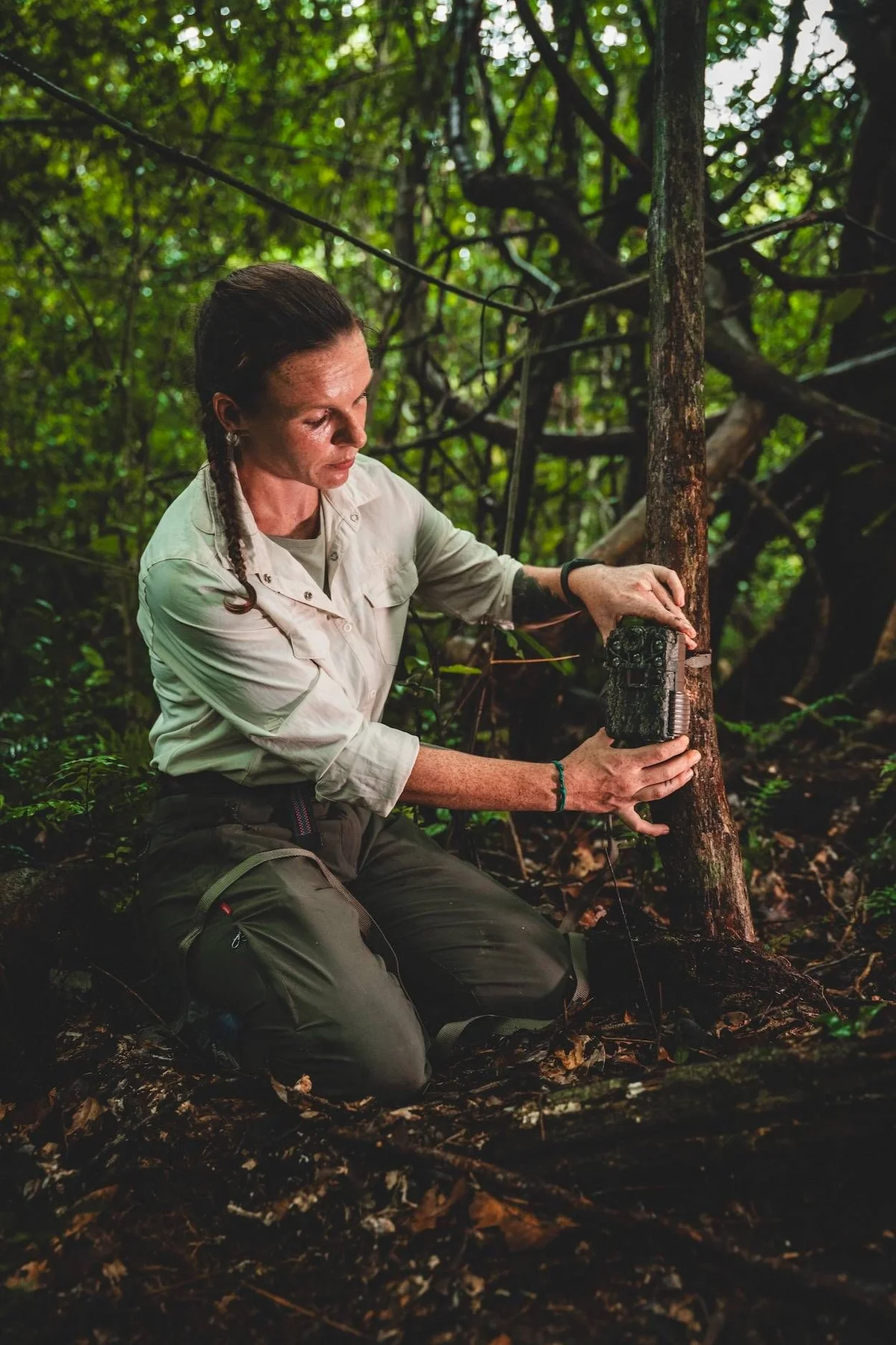 Woman in light shirt examining tree trunk in dense forest surrounded by lush green foliage.