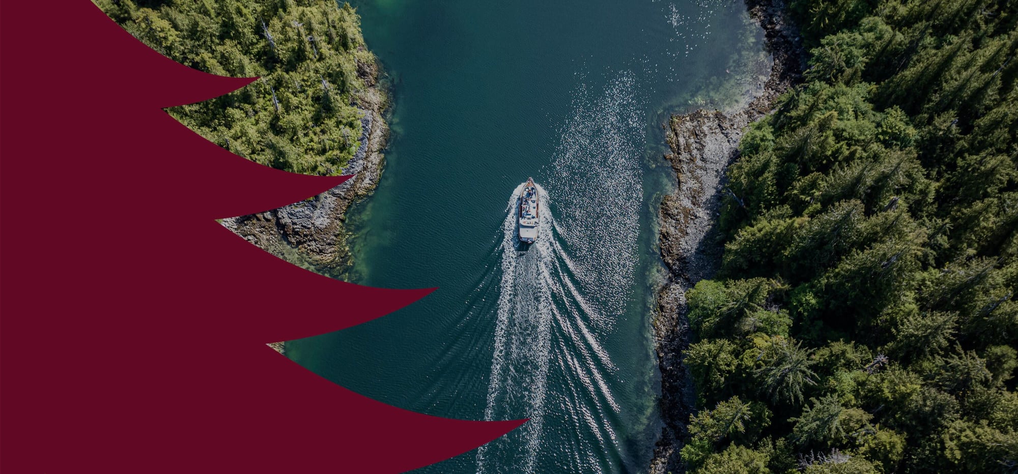 Aerial view of a speedboat navigating through a bay surrounded by dense green forest and red algae blooms.