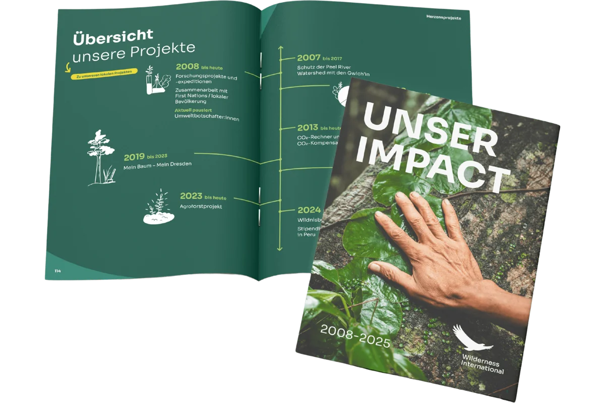 Open brochure and magazine from Wilderness International displaying project timeline and conservation initiatives spanning 2008-2025.