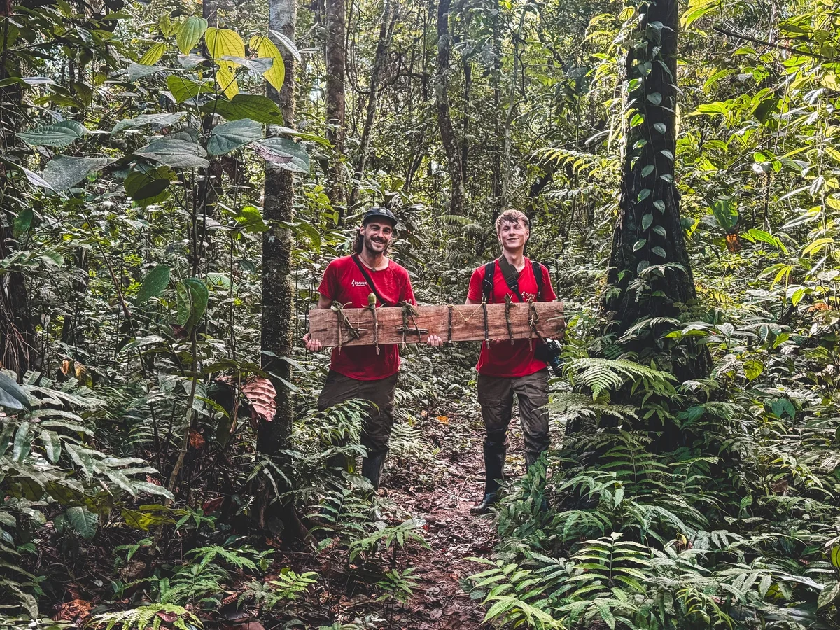 Two workers in red shirts carry a large log through dense green jungle vegetation and towering trees.