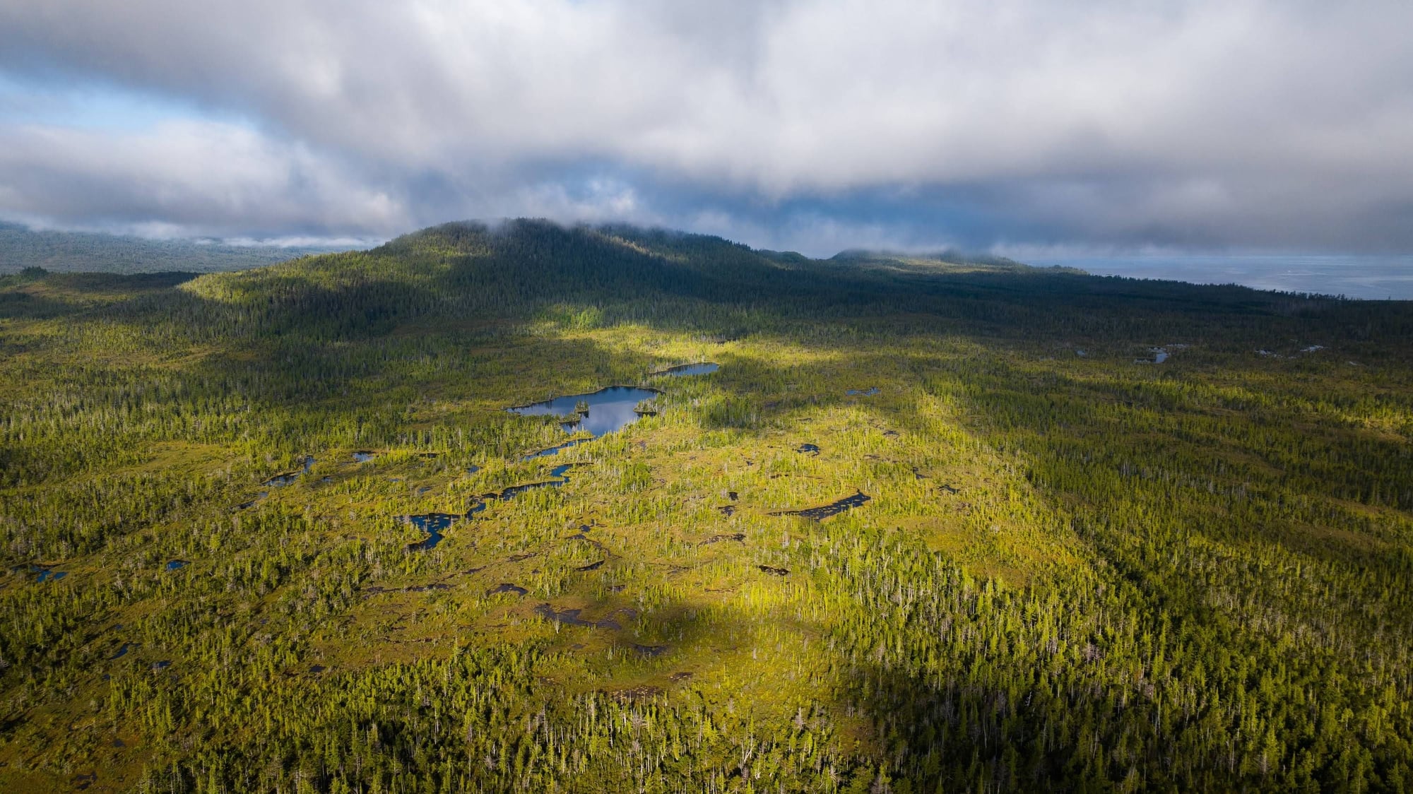 Aerial view of a boreal forest landscape with scattered lakes, mountains and cloudy sky.