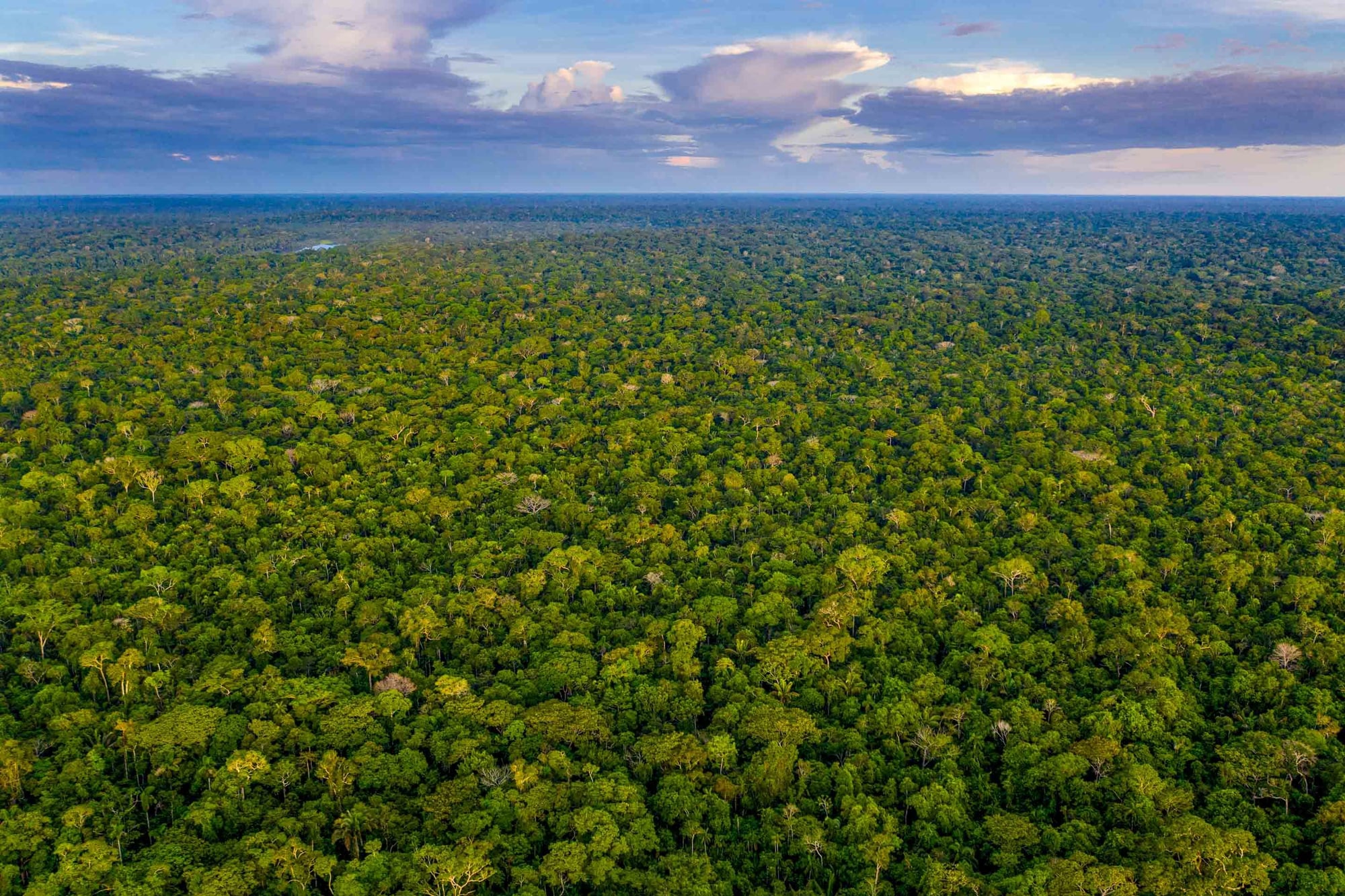 Aerial view of a vast tropical rainforest canopy stretching to the horizon beneath a cloudy sky with patches of sunlight.